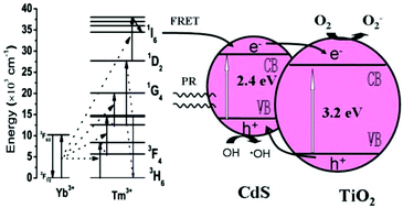 Graphical abstract: Enhanced near-infrared photocatalysis of NaYF4:Yb, Tm/CdS/TiO2 composites