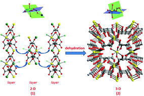 Graphical abstract: Dehydration induced 2D-to-3D crystal-to-crystal network re-assembly and ferromagnetism tuning within two chiral copper(ii)–tartrate coordination polymers
