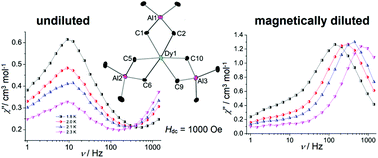 Graphical abstract: Fast magnetic relaxation in an octahedral dysprosium tetramethyl-aluminate complex