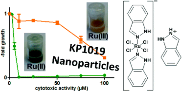 Graphical abstract: Poly(lactic acid) nanoparticles of the lead anticancer ruthenium compound KP1019 and its surfactant-mediated activation