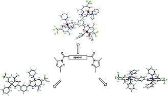 Graphical abstract: Spacer-armed copper(ii) complexes with benzenecarboxylic acids and trifluoroacetylacetone aroylhydrazones