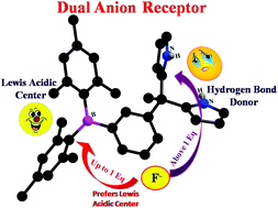 Graphical abstract: Triarylborane–dipyrromethane conjugates bearing dual receptor sites: the synthesis and evaluation of the anion binding site preference