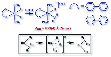 Graphical abstract: Dynamics of H-atom exchange in stable cis-dihydrogen/hydride complexes of ruthenium(ii) bearing phosphine and N–N bidentate ligands