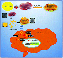 Graphical abstract: Imaging and curcumin delivery in pancreatic cancer cell lines using PEGylated α-Gd2(MoO4)3 mesoporous particles