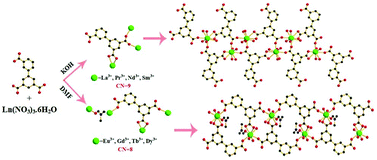Graphical abstract: Solvent-regulated assemblies of 1D lanthanide coordination polymers with the tricarboxylate ligand