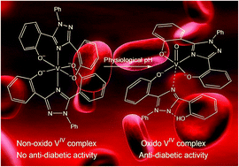 Graphical abstract: Structural and redox requirements for the action of anti-diabetic vanadium compounds