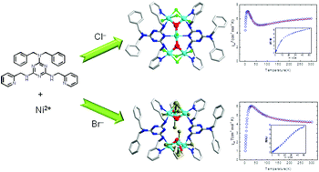Graphical abstract: A semi-flexible aminotriazine-based bis-methylpyridine ligand for the design of nickel(ii) spin clusters