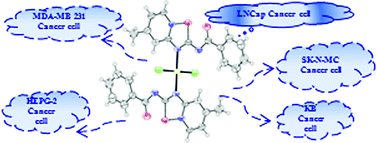 Graphical abstract: Synthesis, crystal structure, and cytotoxic activity of novel cyclic systems in [1,2,4]thiadiazolo[2,3-a]pyridine benzamide derivatives and their copper(ii) complexes