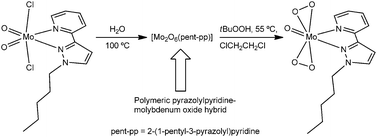 Graphical abstract: Investigation of a dichlorodioxomolybdenum(vi)-pyrazolylpyridine complex and a hybrid derivative as catalysts in olefin epoxidation