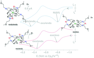 Graphical abstract: Controlling proton movement: electrocatalytic oxidation of hydrogen by a nickel(ii) complex containing proton relays in the second and outer coordination spheres