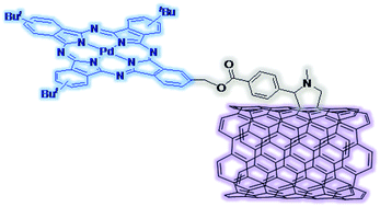 Graphical abstract: Linking Pd(ii) and Ru(ii) phthalocyanines to single-walled carbon nanotubes