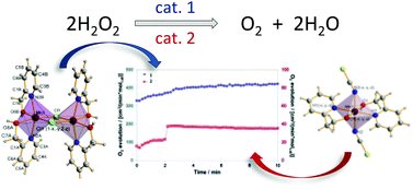 Graphical abstract: Effective catalytic disproportionation of aqueous H2O2 with di- and mono-nuclear manganese(ii) complexes containing pyridine alcohol ligands