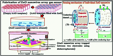 Graphical abstract: Probing the highly efficient room temperature ammonia gas sensing properties of a luminescent ZnO nanowire array prepared via an AAO-assisted template route