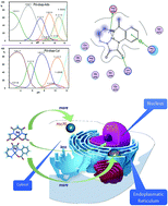 Graphical abstract: Synthesis of novel palladium(ii) complexes with oxalic acid diamide derivatives and their interaction with nucleosides and proteins. Structural, solution, and computational study