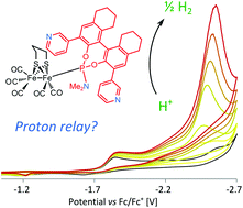Graphical abstract: A phosphoramidite-based [FeFe]H2ase functional mimic displaying fast electrocatalytic proton reduction