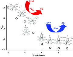 Graphical abstract: Diiron hexacarbonyl complexes as potential CO-RMs: CO-releasing initiated by a substitution reaction with cysteamine and structural correlation to the bridging linkage