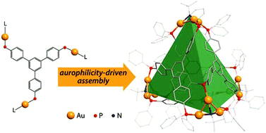 Graphical abstract: Metallophilicity-assisted assembly of phosphine-based cage molecules