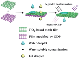 Graphical abstract: Integrated oil separation and water purification by a double-layer TiO2-based mesh