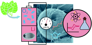 Graphical abstract: Lithium–oxygen batteries: bridging mechanistic understanding and battery performance