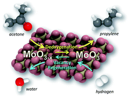 Graphical abstract: Effective hydrodeoxygenation of biomass-derived oxygenates into unsaturated hydrocarbons by MoO3 using low H2 pressures