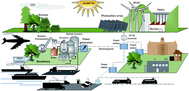 Graphical abstract: The role of biofuels in the future energy supply