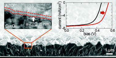 Graphical abstract: Ultrathin amorphous zinc-tin-oxide buffer layer for enhancing heterojunction interface quality in metal-oxide solar cells