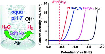 Graphical abstract: A super-efficient cobalt catalyst for electrochemical hydrogen production from neutral water with 80 mV overpotential