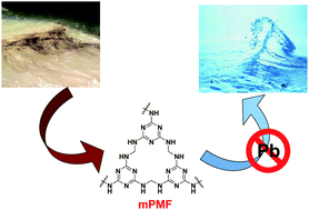 Graphical abstract: A mesoporous poly-melamine-formaldehyde polymer as a solid sorbent for toxic metal removal