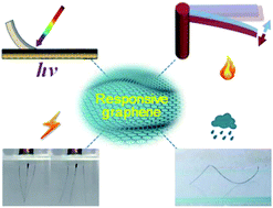 Graphical abstract: Stimulus-responsive graphene systems towards actuator applications