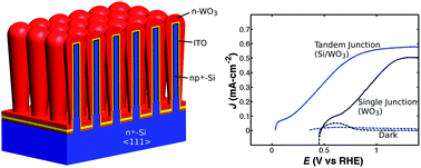 Graphical abstract: Photoelectrochemistry of core–shell tandem junction n–p+-Si/n-WO3 microwire array photoelectrodes