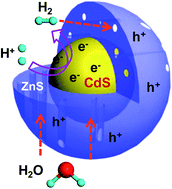 Graphical abstract: CdS–mesoporous ZnS core–shell particles for efficient and stable photocatalytic hydrogen evolution under visible light