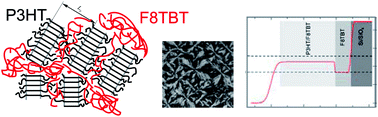 Graphical abstract: Structure formation in P3HT/F8TBT blends