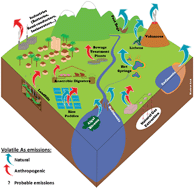 Graphical abstract: Biovolatilisation: a poorly studied pathway of the arsenic biogeochemical cycle