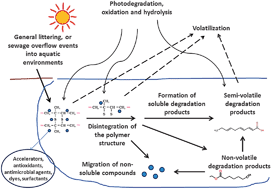 Graphical abstract: Environmental fate of processed natural rubber latex