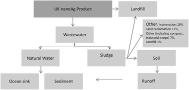 Graphical abstract: Challenges in assessing release, exposure and fate of silver nanoparticles within the UK environment