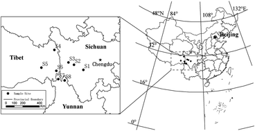 Graphical abstract: The chromium in timberline forests in the eastern Tibetan Plateau
