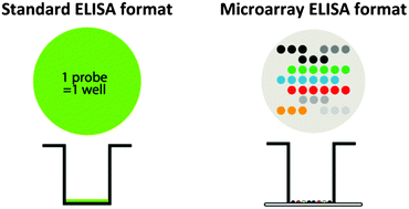 Graphical abstract: Multiplex microarray ELISA versus classical ELISA, a comparison study of pollutant sensing for environmental analysis