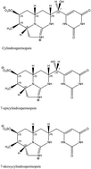 Graphical abstract: A review on cylindrospermopsin: the global occurrence, detection, toxicity and degradation of a potent cyanotoxin