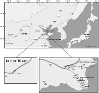 Graphical abstract: Distribution, sources, and ecological risks of organochlorine pesticides in surface sediments from the Yellow River Estuary, China