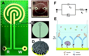 Graphical abstract: Nanochannel-based electrochemical sensor for the detection of pharmaceutical contaminants in water