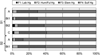 Graphical abstract: Total mercury, organic mercury and mercury fractionation in soil profiles from the Almadén mercury mine area