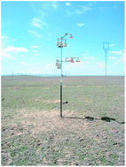 Graphical abstract: A review of passive sampling systems for ambient air mercury measurements
