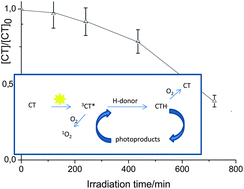 Graphical abstract: Photoreactivity of the fungicide chlorothalonil in aqueous medium