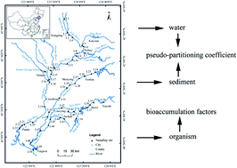 Graphical abstract: Occurrence, distribution and bioaccumulation of antibiotics in the Liao River Basin in China
