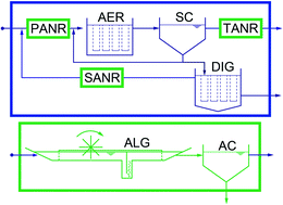 Graphical abstract: Integrating algaculture into small wastewater treatment plants: process flow options and life cycle impacts
