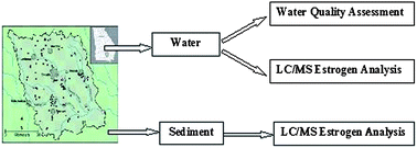 Graphical abstract: Influence of poultry litter land application on the concentrations of estrogens in water and sediment within a watershed