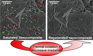 Graphical abstract: Enhanced adsorption of carbon nanocomposites exhausted with 2,4-dichlorophenoxyacetic acid after regeneration by thermal oxidation and microwave irradiation