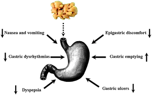Graphical abstract: A review of the gastroprotective effects of ginger (Zingiber officinale Roscoe)