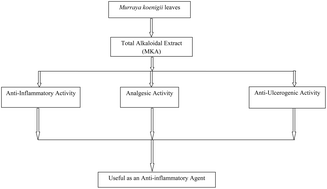 Graphical abstract: Anti-inflammatory, analgesic and anti-ulcerogenic effect of total alkaloidal extract from Murraya koenigii leaves in animal models