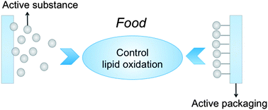 Graphical abstract: Controlling lipid oxidation of food by active packaging technologies